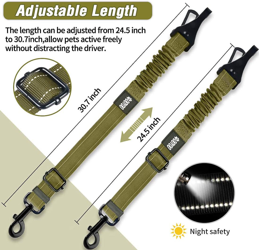 Koiran turvavyö autoon